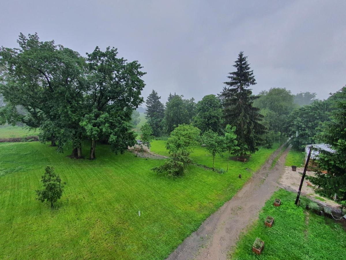 Palac Lawica- Splywy Przelomem Bardzkim Kłodzko Extérieur photo
